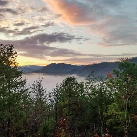 Lazy Bear Lodge Sevierville Kültér fotó